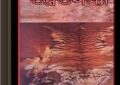 Tarapranob Brahmachari ebook