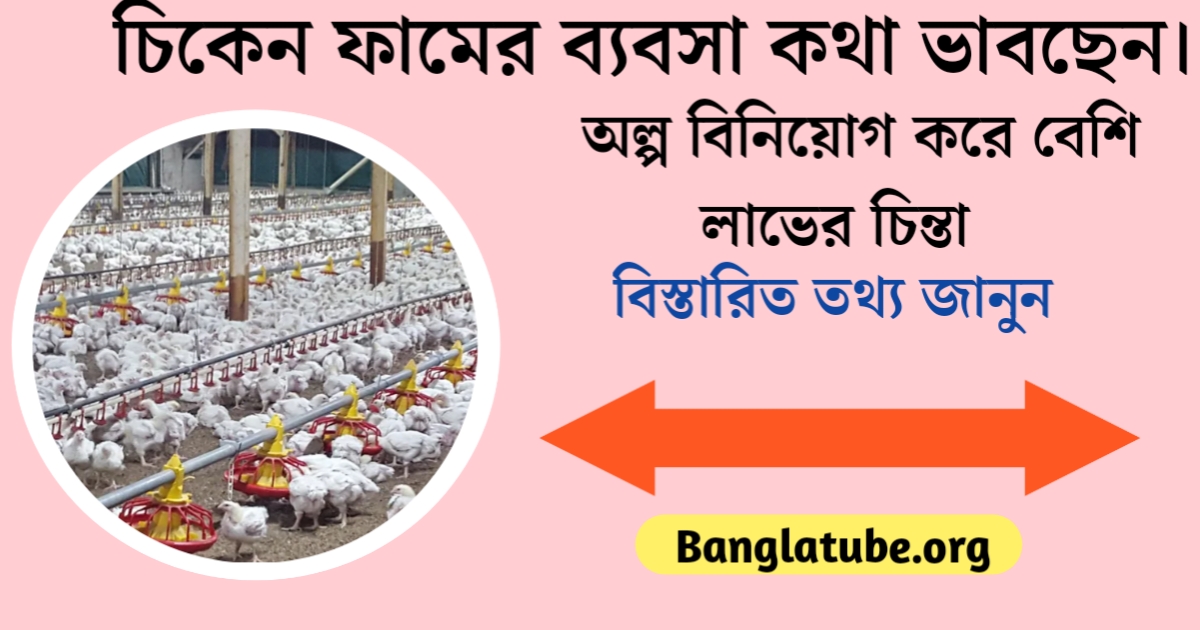 Thinking of starting a chicken farm business(চিকেন ফার্মের ব্যবসা শুরু করার কথা ভাবছেন)