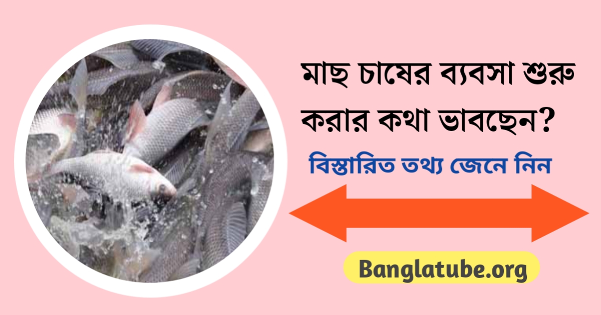 Thinking of starting a fish farming business(মাছ চাষের ব্যবসা শুরু করার কথা ভাবছেন?)